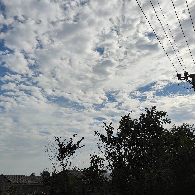 qyy84184110's profile picture. 