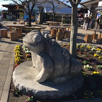 9725Q's profile picture. 