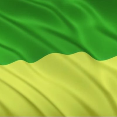 StormKnocked's profile picture. dont hang the khatzeel leaders, thats not nice!