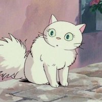 𝐝🧺. ˚⋆。˚☽˚ (@rutouwiw) 's Twitter Profile