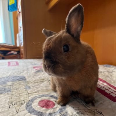 xoanmayordomo's profile picture. Suomi-Galiza