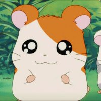 さや 🤍 (@flora_subsaya) Twitter profile photo