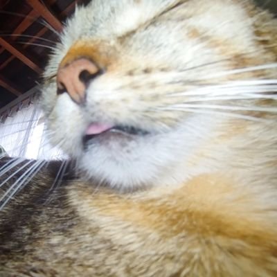 SarahiDubraska's profile picture. Scorpio ♏🦂
Si tu savais ce qui m’arrive à chaque fois que je te vois 🫩