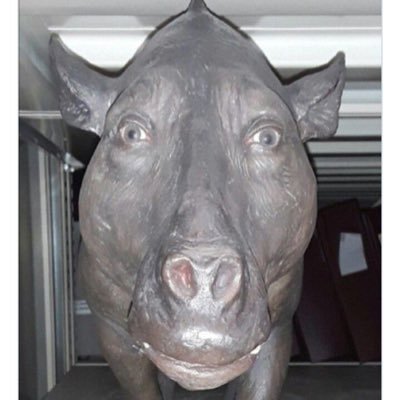 romlgle's profile picture. 