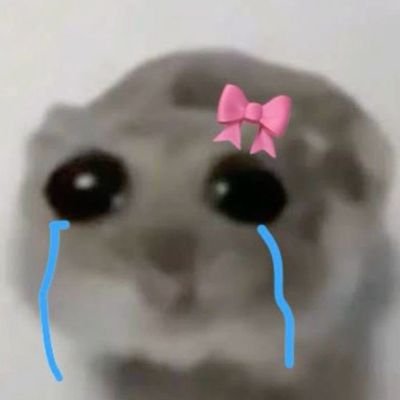 MrSmollPP's profile picture. 