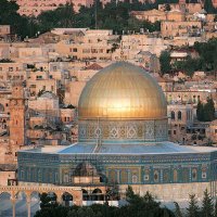 aqsa batool (@aqsabatool52529) 's Twitter Profile