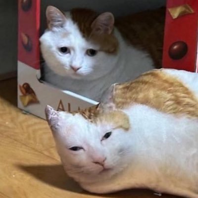 โต๊ะมุมさんのプロフィール画像