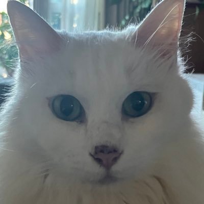 ありんこ (@bfGNMTnfyFQ4d4m) / Posts / X