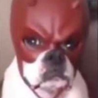 shhmoneydug.SOL📈 (@tokenbooster631) 's Twitter Profile