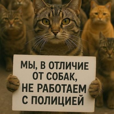 V_o_L_u_M_e's profile picture. The world is yours