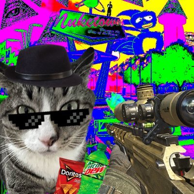 Former R6 Coach & Player | 20 | NA | 1x CL 1x Element