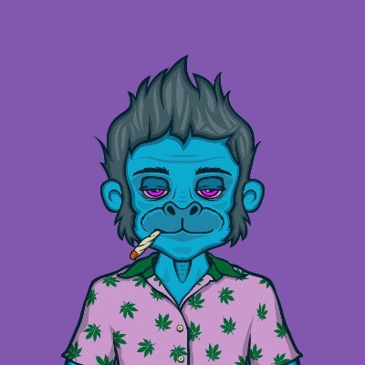 AlgoYeti.algoさんのプロフィール画像