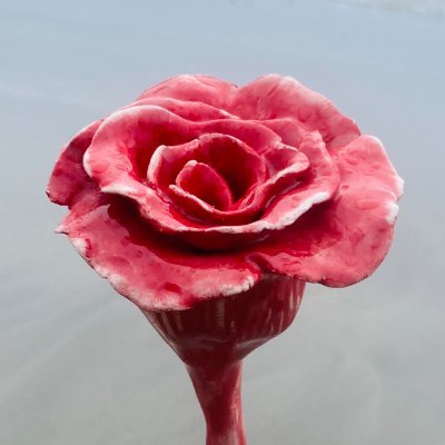 rosewaterwaves's profile picture. Exploring art, emotion & nature, always creating.
https://t.co/YLZOra1sqD