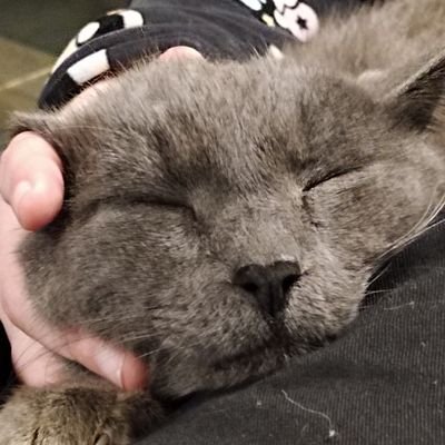 Rossa24394256's profile picture. 