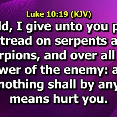 AbbyLov78064702's profile picture. Lovely and caring