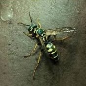 mkiqrt's profile picture. rt a todo lo que me interese