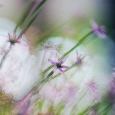 cwada1116's profile picture. 