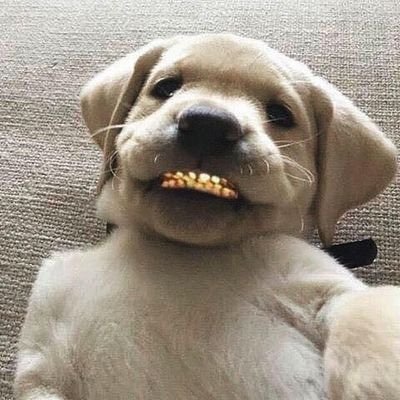 I like bein by myself frl nd I don’t really like bein around ppl Cus ppl be messin up yo vibe up I love bein by myself •put my phone on dnd 🎧🤯 انا احب الله