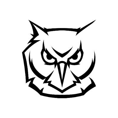 OWL_SPA's profile picture. 🦉Grupo económico de transporte y logística internacional de cargas generales, peligrosas y especiales por carretera. 🌎 Conectamos: 🇦🇷🇧🇴🇨🇱🇵🇪