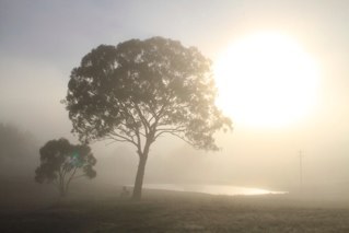 Gundarookk's profile picture. 