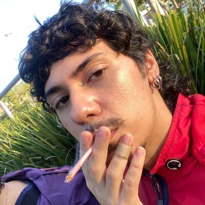 slut, skank, smoking crank, fashion loving party bitch