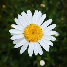SeeitNOW_Act's profile picture. Eyes wide open