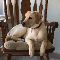 Steve (SGB478) (@478sgb) 's Twitter Profile