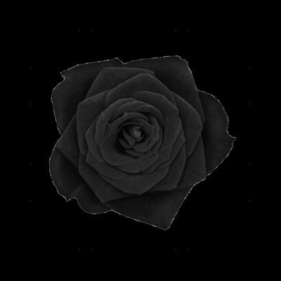 IE5t2tlMFx48270's profile picture. 18↓義務教育済み