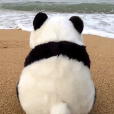 EarlyPlayers's profile picture. An Early Player In Crypto