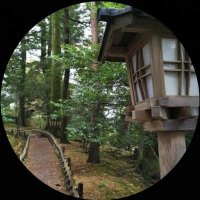 A Nows Adventure (@anowsadventure2) 's Twitter Profile