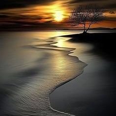 adaisla189670's profile picture. 