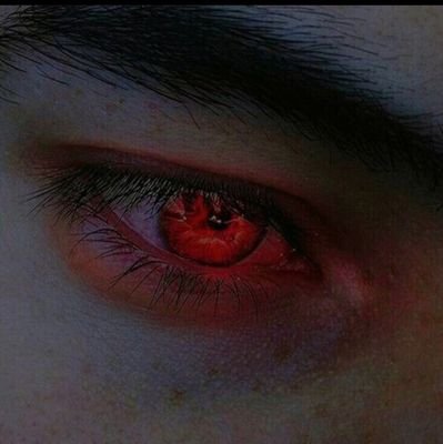 101freedom111's profile picture. someone