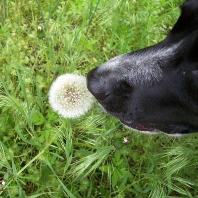 NancyO1947's profile picture. 