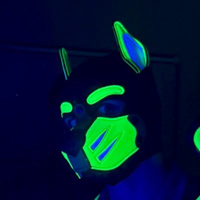 Fidget_Pup's profile picture. 