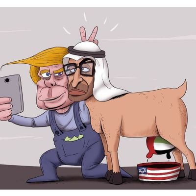 samy201155's profile picture. 