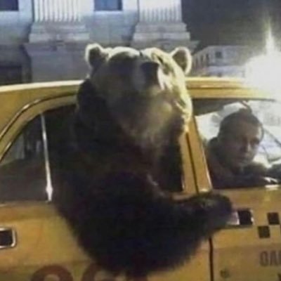ChicagoSequoia's profile picture. I complain a lot