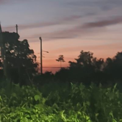 formattingword's profile picture. heyyow