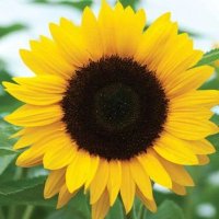 (((JD2))) ⚖️ (@geopoliticaldem) 's Twitter Profile Photo (((JD2))) ⚖️ (@geopoliticaldem) 's Twitter Profile Photo