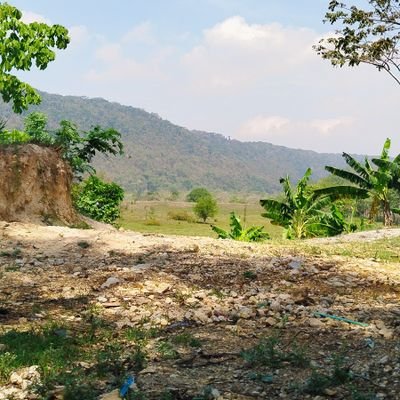 XgOnzalez664's profile picture. 