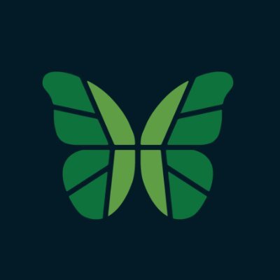 We partner locally and globally to protect rainforests, support Indigenous leadership, advance research, grow young conservationists, and spark global action.