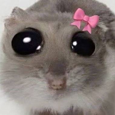 cryptureDev's profile picture. Err: 404DevNotFound‼️