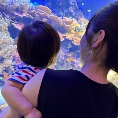 自分のできることを統合して楽しく働きたい🌈2025.2.18〜 #シーメイト Webデザインメインで、ライティング、マーケティングと色々かじり中🍫92年生まれ🐣関西人🐙無言フォロー失礼します🌱1y男の子自宅保育ママ🦖元看護師💉教員免許持ち(中学英語)📙看護学士学習成果レポート作成中💻