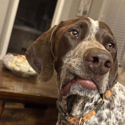 TheSeanW's profile picture. JD. Business professional. TAMU Law.