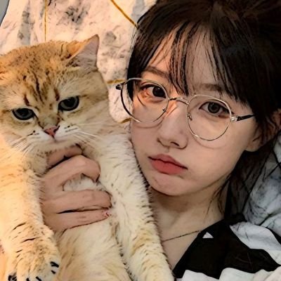bnb454450's profile picture. 