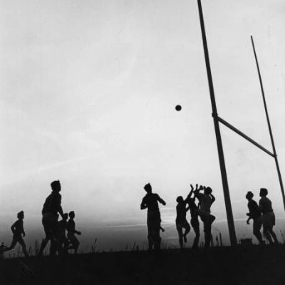 AnMadadhRua99's profile picture. Mol an óige agus tiocfaidh sí