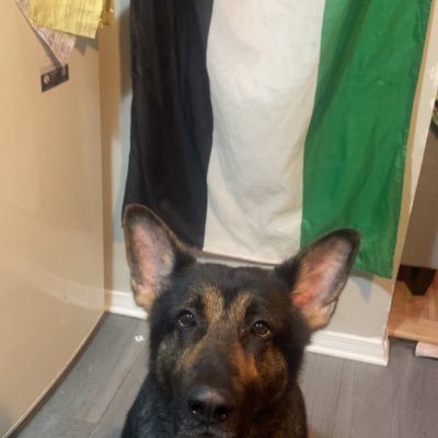 kerlimon's profile picture. 