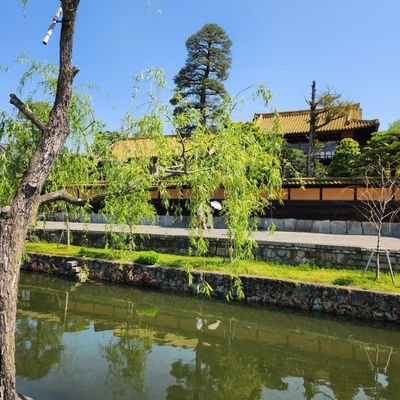 某月さんのプロフィール画像