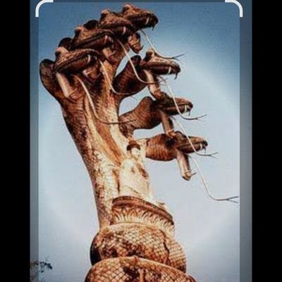 बुद्धम् शरणं गच्छामि ☸️
धम्मम् शरणं गच्छामि🙏
संघम् शरणं गच्छामि🪷
#नमोबुद्धाय_जयभीम 👏