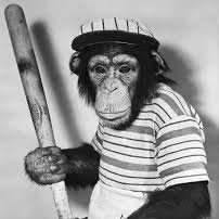 PeytonStats's profile picture. @ProspectsLive
Bradley University