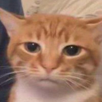 storminsilk's profile picture. So random you can't imagine